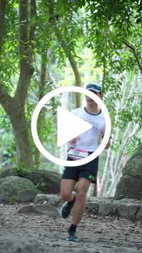 BIB:  <button type="button" onclick="openModal(28055510)" class="btn btn-primary btn-sm float-right" data-toggle="modal" data-target=".modal-high-quality">
                <i class="fa fa-download"></i> Download
                </button>